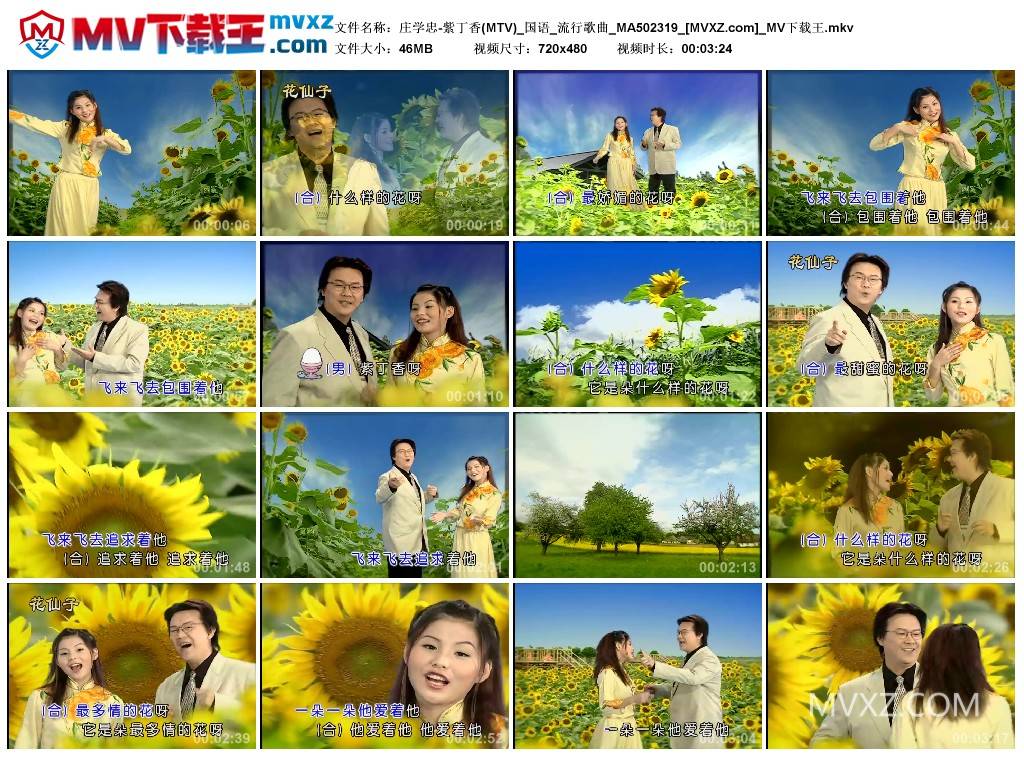 庄学忠-紫丁香(MTV)_国语_流行歌曲_MA502319